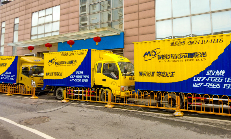 春日搬家攻略：避開這些坑，舒心入住新家！